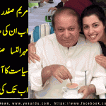 maraym-safdar-mehr-un-nisa-safdar