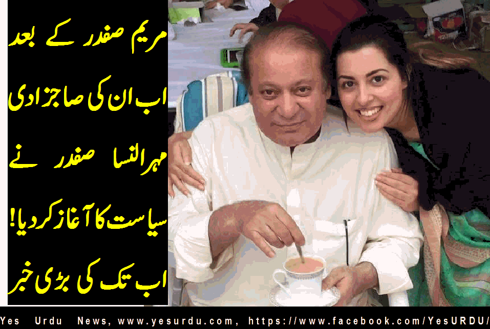 maraym-safdar-mehr-un-nisa-safdar