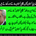 mian-hanif-PMLN-France