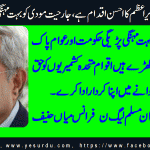 mian-hanif-ce-pml-n-france
