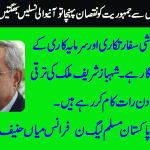 mian-hanif-ce-pml-n-france
