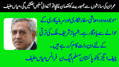 mian-hanif-ce-pml-n-france