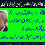mian-hanif-cheif-organizer-pmln-france