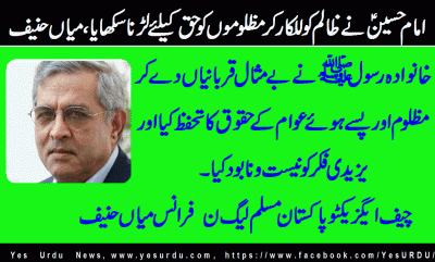 mian-hanif-cheif-organizer-pmln-france