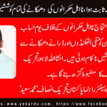 muhammad-saeed-senior-leader-pti-france