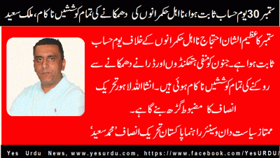 muhammad-saeed-senior-leader-pti-france