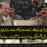 pak-govt-and-opposition-made-collective-effort-against-border-issues