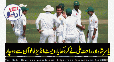 West Indies 224 runs not decide to follow on the shot out, Pakistan