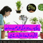 plants-for-life