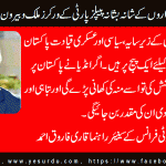 qari-farooq-ahmed-senior-leader-ppp-france