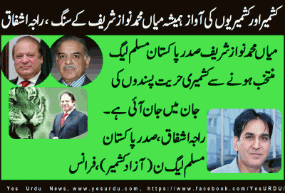 Raja Ashfaq, Prisident, PML, N, Azad Kashmir, France_20-10-2016