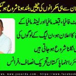 Malik-Saeed-Senior-Leader-PTI-France