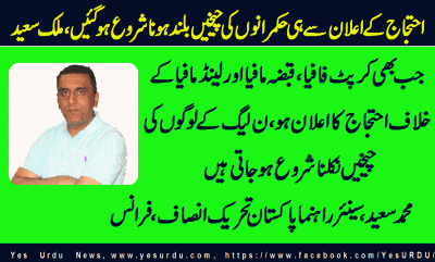 Malik-Saeed-Senior-Leader-PTI-France
