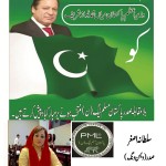 sultana-asghar-Prisident-PMLN-women-wing-France_20-10-2016
