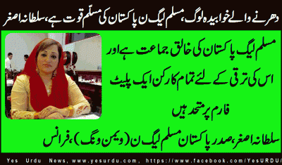 PML N is a definite power of Pakistani Politics said Sultana Asghar, PML N, France