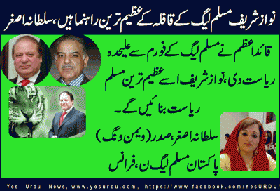 sultana-asghar-Prisident-PMLN-women-wing-France_20-10-2016