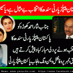 Yasmin Farooq-Member PPP Provincial wing, Punjab