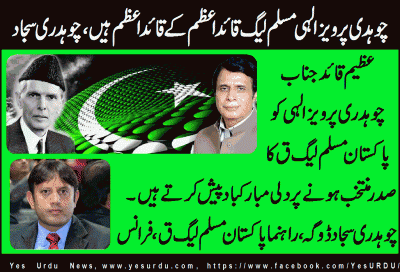 ch-Sajjad-doga-_20-10-2016