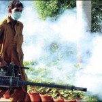 Ensure effective implementation synmtnykylyyplan dengue: Shahbaz