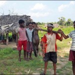 After Congo 'now' Japanese 'fever' aynsflayts' reaches India