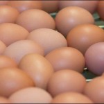 Pakistan is being celebrated in the world of eggs