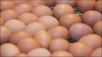 Pakistan is being celebrated in the world of eggs
