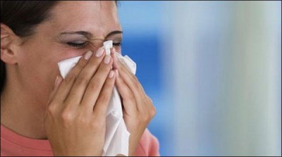 They also spread diseases to climate change