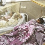 Karachi: Dengue virus confirmed in 5 persons