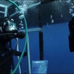 Deep in the ocean krmhbubh offer wedding