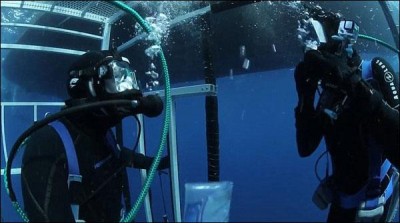 Deep in the ocean krmhbubh offer wedding