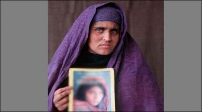 Syrup feed hitherto refused legal aid organizations and rights