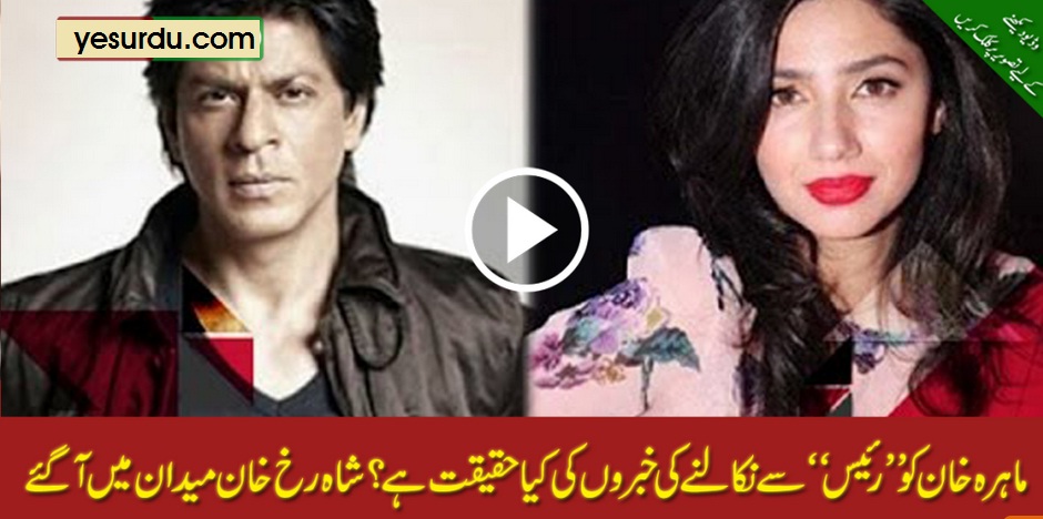 شاہ رخ خان ’رئیس‘ سے ماہرہ خان کی علیحدگی کی خبروں پر میدان میں آگئے