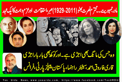 Qari Farooq Ahmed-Ex-Chief-Organizer-PPP-France