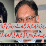 What was Almeda's story, Shehbaz Shrief dialogue with DG ISI