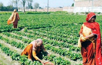 Only 9 percent of rural girls could reach metric