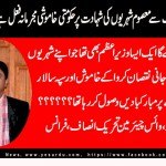 Naimat Ullah, Vice Chairman, Pakistan Tehreek Insaf, France