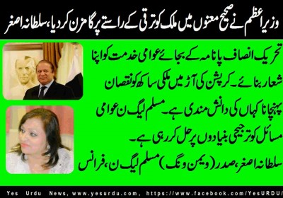 Malika Sultana, Prisident (Women Wing) PML N, France
