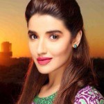 Film 'Janan' success gave new courag:Hareem Farooq