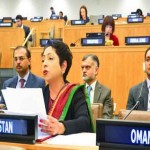 The problem can not be lasting peace in South Asia without Kashmir solution: Maliha Lodhi