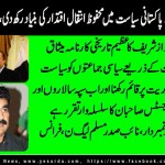 Chaudhry Sajjad Numberdar, Vice President, PML,N, France