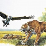 China exported 83 million year old skull of the big teeth Leopard
