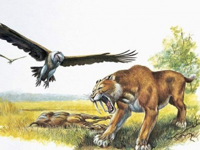 China exported 83 million year old skull of the big teeth Leopard