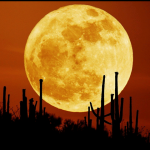 Tonight the 'Super Moon' Please be ready to view.