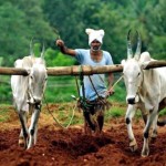 India, where 46 farmers commit suicide every day