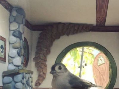 American made humans such as bird house painting