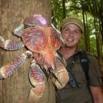 More than 10 times powerful crab from humans