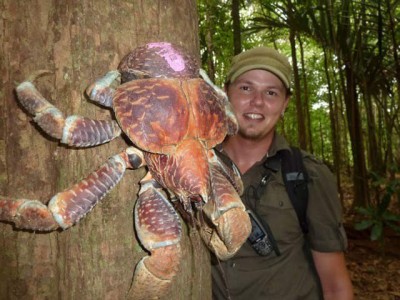More than 10 times powerful crab from humans