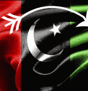 Pakistan Peoples party got success in Lalamusa local body election