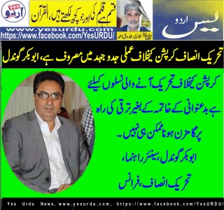 abu,bakar,gondal, senior, leader, Pakistan, Tehreek,e,Insaf,France