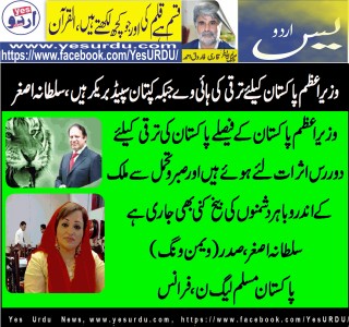 Sultana Asghar, President women wing, PML N, France